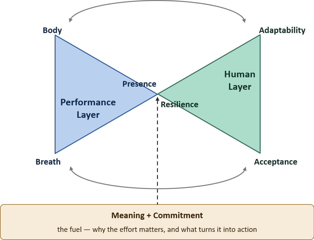 The TANGO Model: performance and human layers connected through presence, resilience, meaning and commitment